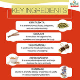 Sandu Ayurvedic Mahasudarshan Kadha Liquid